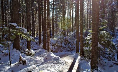 Winter Hike by Mark Larson